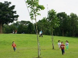 DSC03634