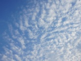 DSC03666
